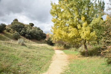 colores de oto&ntilde;o 