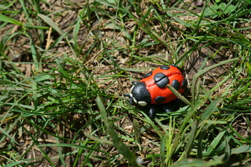 Figure of a ladybug made of plasticine in the green grass.