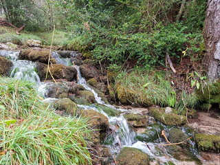 el agua se abre camino