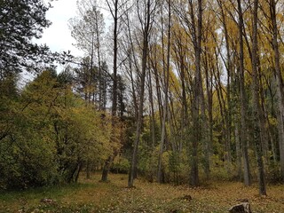 oto&ntilde;o en cuenca