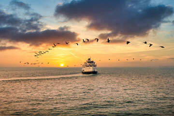 Boat and birds between San Francisco and Sausalito