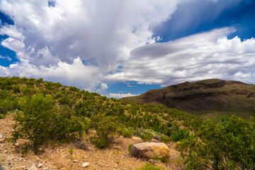 Fototapeta na wymiar Magnificent clouds contributed to the desert landscape of the Burro Creek Wilderness area in Arizona. Wildflowers are all over this area at this time in the Spring.