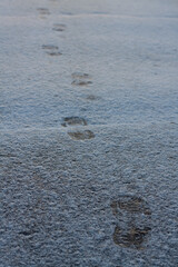 Fototapeta na wymiar shoeprints on icy ground. Human feet traces, shoes imprints on white snowy road. Fresh snow fallen on asphalt. traces left by man walking away, trajectory of person leaving. several steps