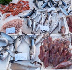 Small fish, squid and shrimp on the Italian open market