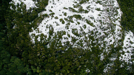 Overhead Aerial View of the forest in Paso Garibaldi, Tierra del Fuego, Patagonia Argentina. Pine trees foliage and snow.