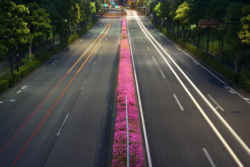 Tokyo,Japan-May 29, 2020: Azalea in full bloom at center divider in the night in Tokyo
