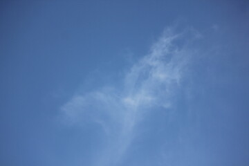 Sky blue background. Natural background