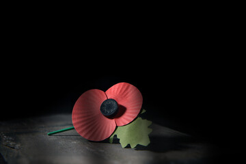 And We Will Remember Them