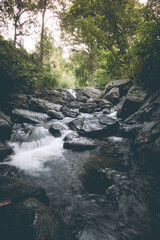 Fototapeta premium Water fall , nature , Wall paper, Sri lanka 