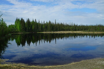 A lake in Fairbanks, Alaska