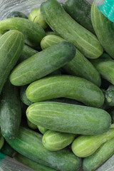 fresh cucumbers in a market