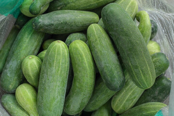 fresh cucumbers in a market