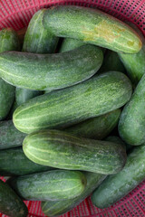 fresh cucumbers in a market