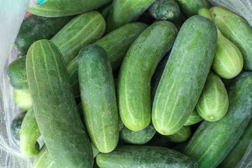fresh cucumbers in a market
