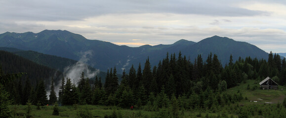 Carpathian forest in the fog. Ukrainian Carpathian Mountains, Marmarosy, Ukraine. Hiking travel outdoor concept mountain panoramic view.