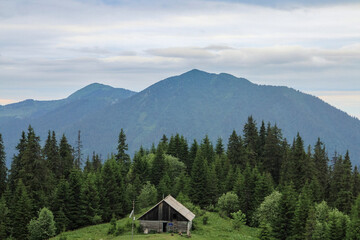 Fototapeta na wymiar Old small wooden house in front of the mountains and forest. Hiking travel outdoor concept mountain view. Journey in the Carpathians mountains, Ukraine