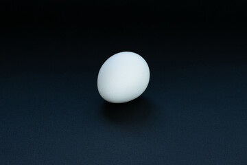 One white chicken egg on a black background.