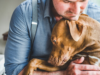 Handsome man hugging a charming puppy. Close-up, indoors. Studio photo, white color. Concept of care, education, obedience training and raising pets