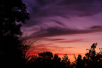 Fototapeta na wymiar purple sunset over the forest