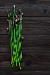 Green onions on a dark wooden background with copyspace for text. Fresh garden herbs, spring onion with flowers.