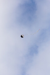 kite flying in the sky with clouds