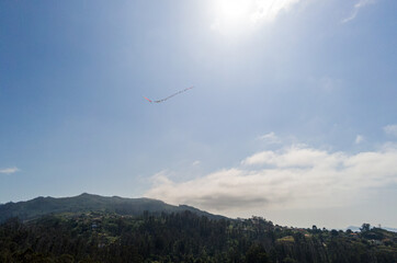Fototapeta na wymiar kite flying in the sky with clouds