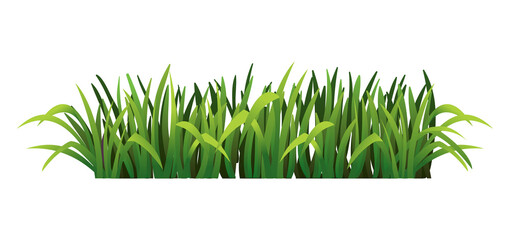 Green grass border. Fresh green grass. Isolated on transparent background. Vector Illustration for use as design element