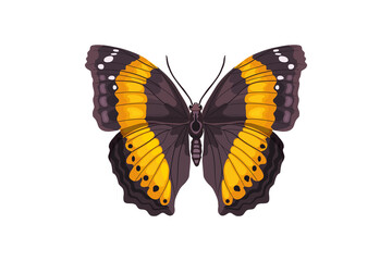Butterfly. A beautiful insect. Vector illustration in flat style.