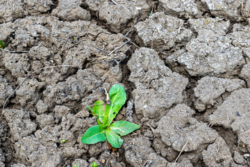 Soil erosion background
