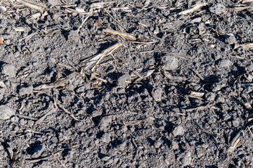 Soil with mineral fertilizer