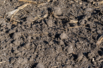 Soil with mineral fertilizer