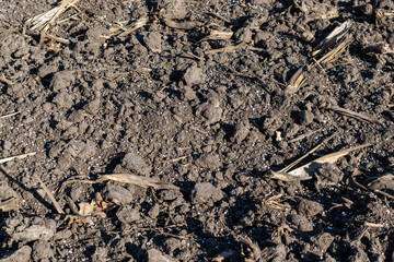 Soil with mineral fertilizer