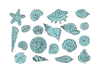 Hand drawn set of various seashell and starfish. Vector art illustration.