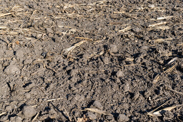Soil with mineral fertilizer