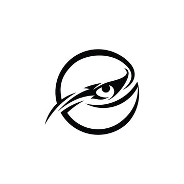 eagle eye circle vector design logo concept