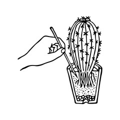 Black outline hand drawing vector illustration of a decorative plant with roots transplanting in a pot isolated on a white background