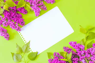 lilac flowers on a green background. flower frame with lilac flowers and an empty sheet of paper. background with branches of blooming lilac.
