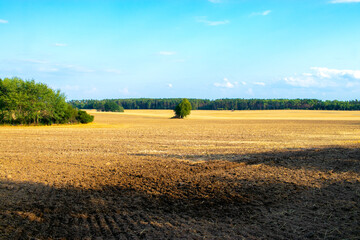 Campo seco después de ser cosechado