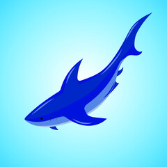 Shark on a blue background, marine predator, vector illustration