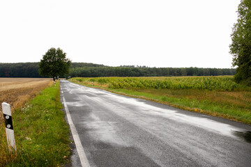 Carretera en día lluvioso con campos a los lado s