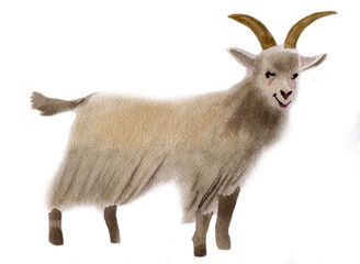 Watercolor illustration of a goat