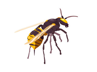 Hornet. Insect. Vector illustration in flat style.