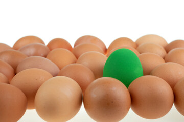 Close-up view of a green easter egg chicken surrounded by nature fresh eggs on white background