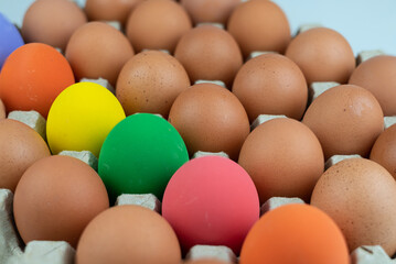 Eggs carton with chicken colorful easter egg lined up in rows at white background