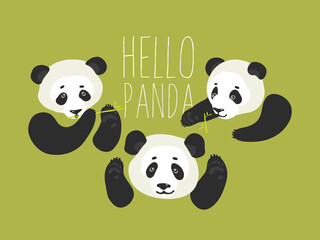 Panda. Vector illustration in flat style