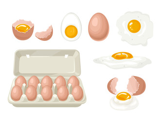Set of chicken eggs. Whole eggs  in carton box, broken egg, yolk, boiled, fried egg and cracked shell. Vector illustration in cartoon flat style.
