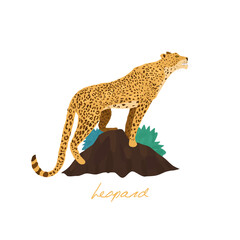Leopard. Mammal. Vector illustration
flat style.
