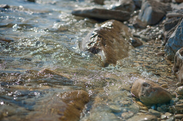 water washes stones in sunny weather