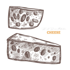 Vector hand drawn slices of cheese. Food sketch illustration