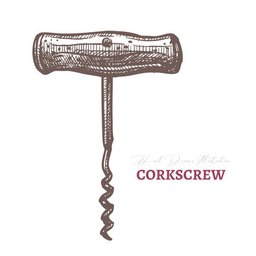 Vector hand drawn corkscrew. Retro vintage equipment for wine bottle. Sketch etching engraved illustration